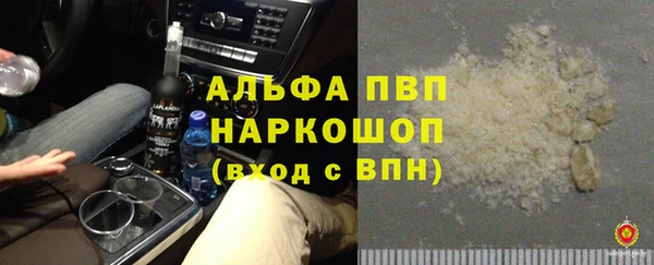 амф Козловка