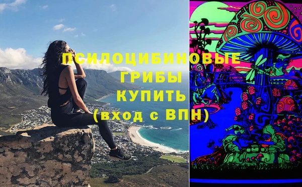 амф Козловка