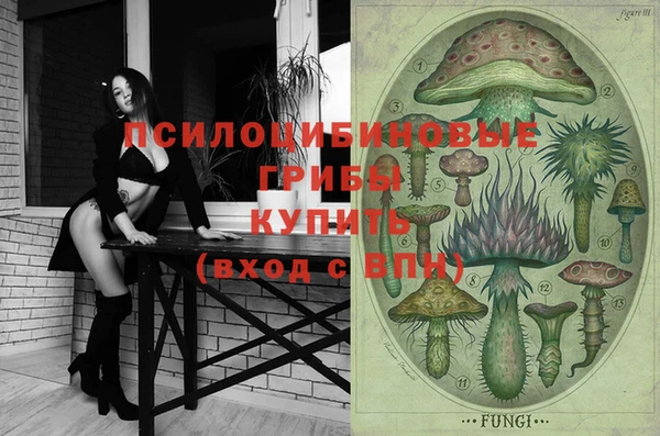 амф Козловка