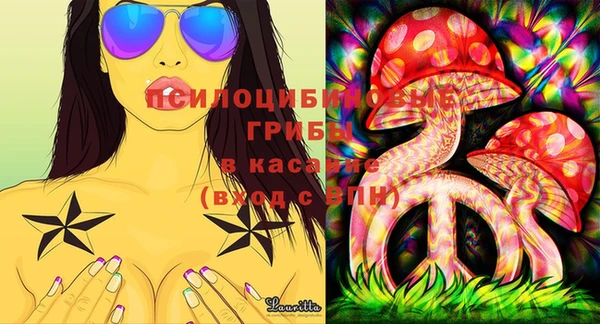 амф Козловка