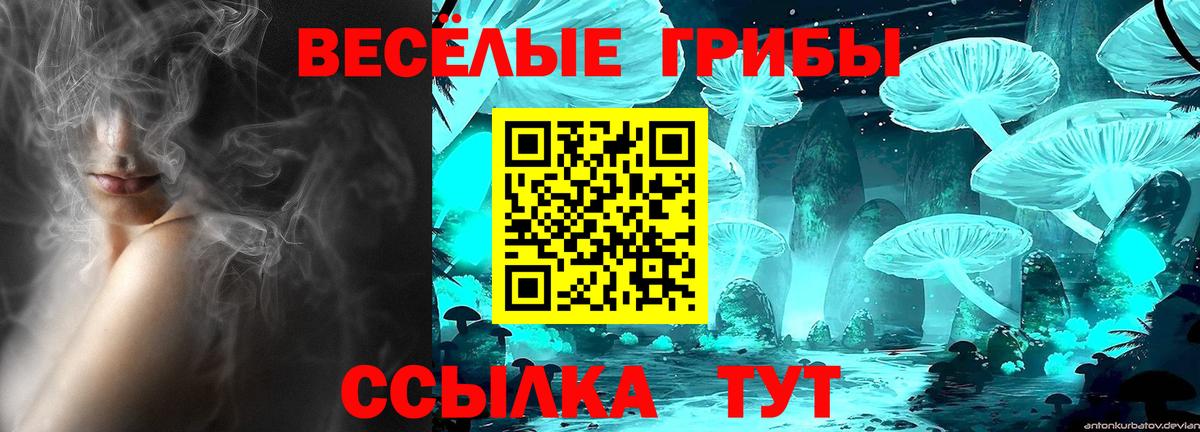 закладки  Псилоцибиновые грибы Psilocybe  Альметьевск  Галлюциногенные грибы Psilocybine cubensis 