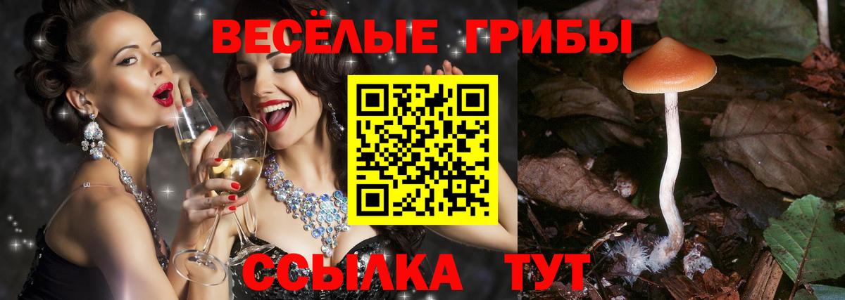Альметьевск  Галлюциногенные грибы мицелий  Вход с VPN 
